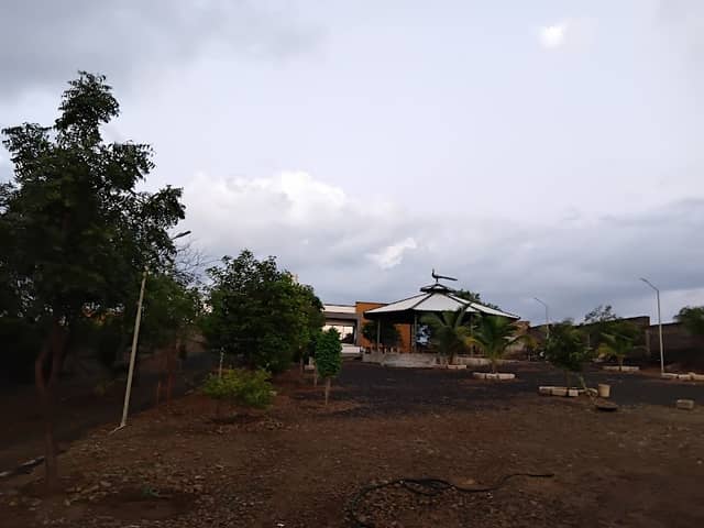 Dada-Dadi Farm - Rambhai Vaghasiya - Image 1
