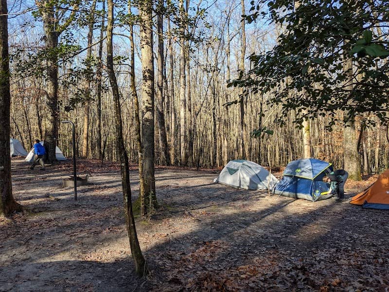 Merchants Millpond State Park - Walk-in Group Campsites - Image 1