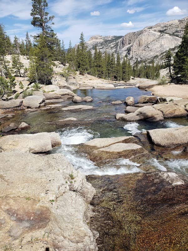 Tuolumne River - Image 1