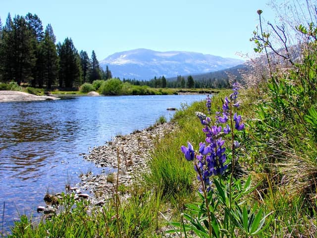 Tuolumne River - Image 2