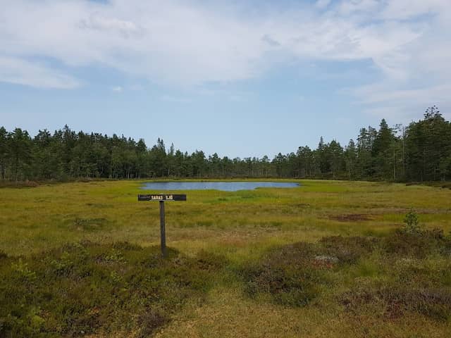 Gyllbergen - Image 2