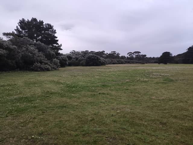 Seasalt Meadow - Image 1