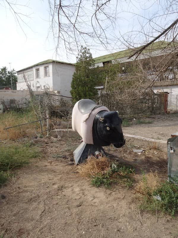 Bull - Image 1