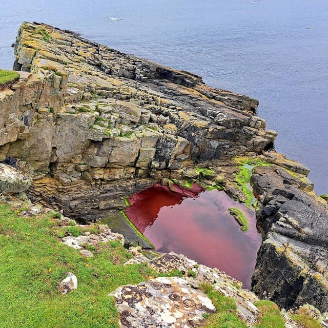 Red Pool, Virkie - Image 1