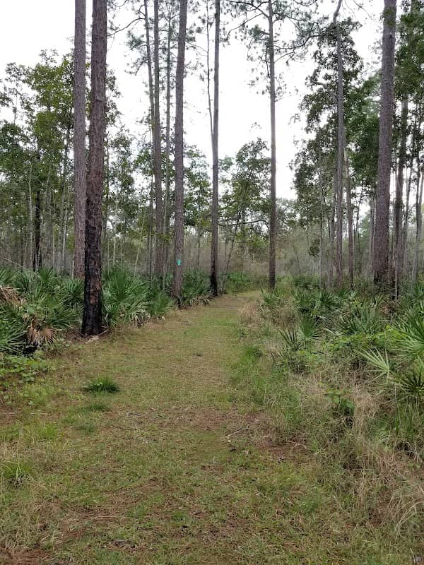 Welaka State Forest Headquarters - Image 2