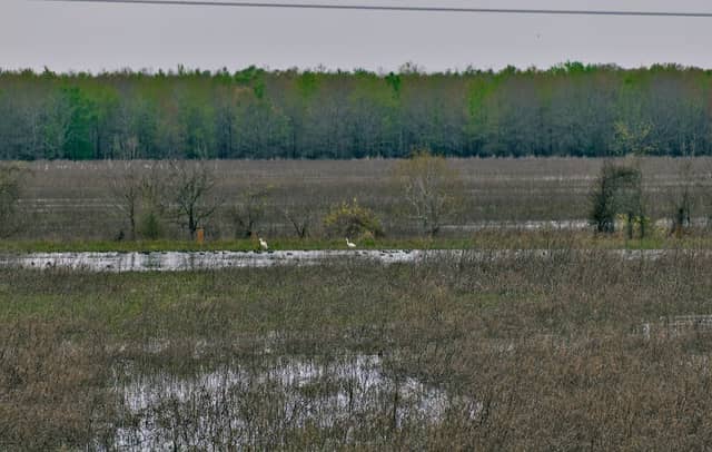 Russell Sage State Wildlife Management Area - Image 2