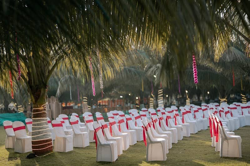 THE COCONUT CANOPY FARM by Dr. Makhanasa - Image 1