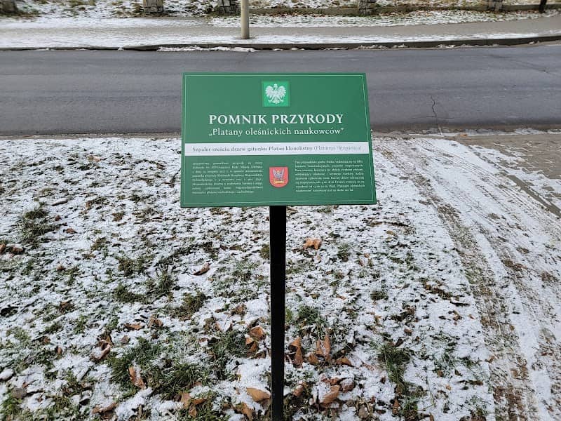 Platany oleśnickich naukowców - Image 1