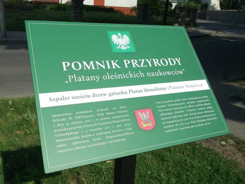 Platany oleśnickich naukowców - Image 2