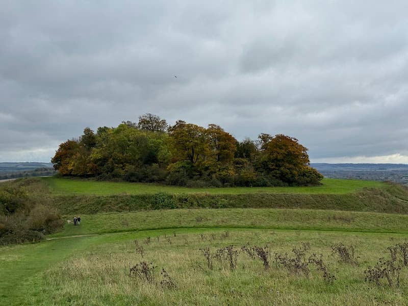 Wittenham Clumps - Image 1