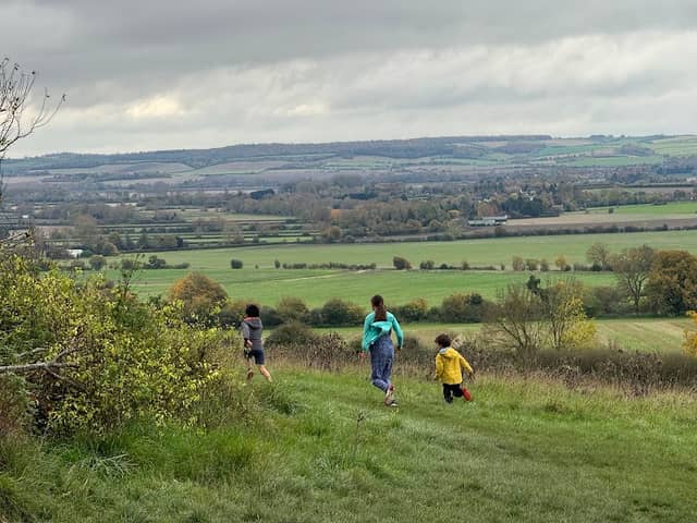 Wittenham Clumps - Image 3