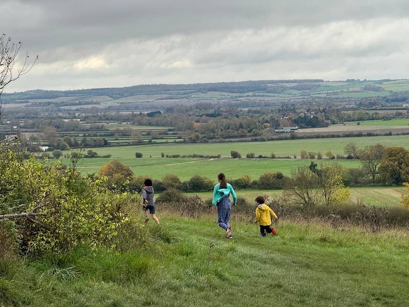 Wittenham Clumps - Image 3