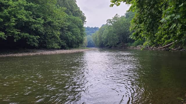 Sugar Hill Trail System - Image 2