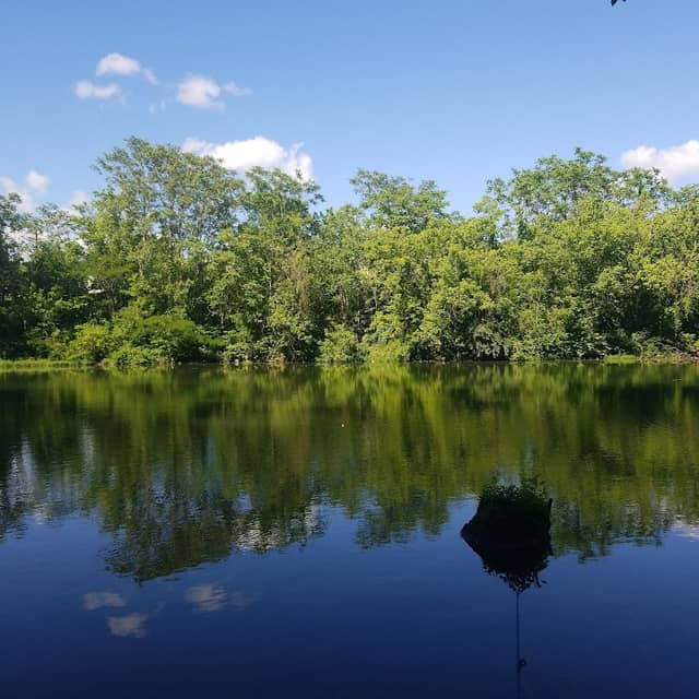Sugar Hill Trail System - Image 1