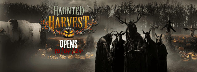 Haunted Harvest - Image 1