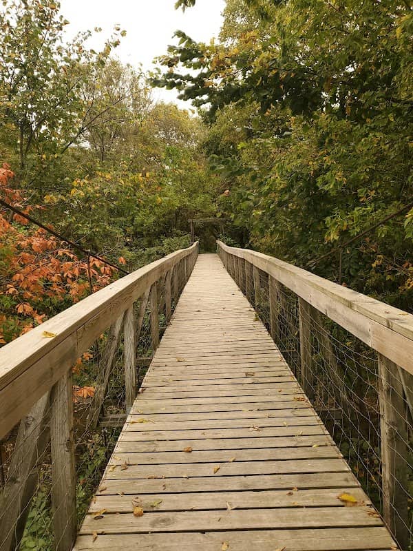 Guye Woods County Park - Image 2