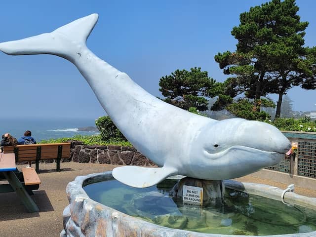 Depoe Bay Scenic Park - Image 3