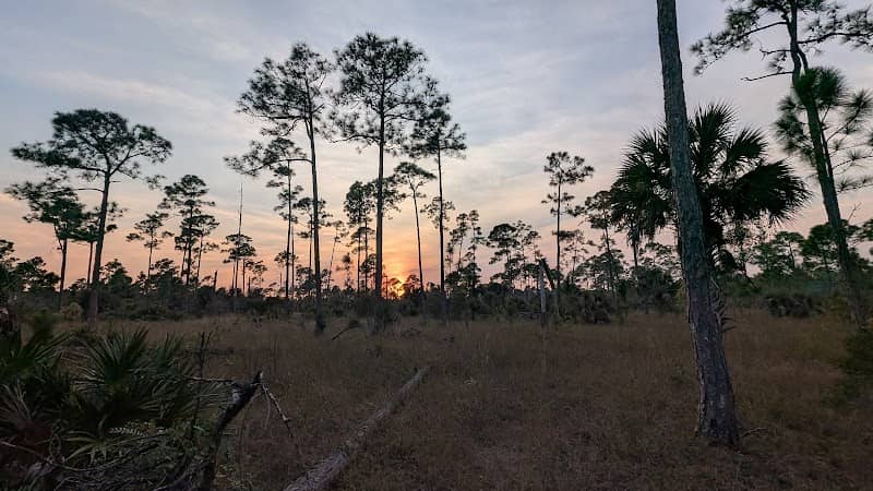 Yellow Fever Creek Preserve - Image 2