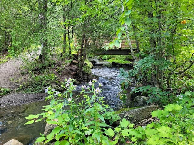 Lepage Park - Image 1