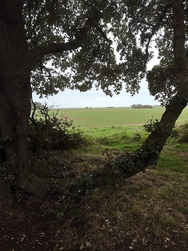 Public Footpath - Image 2
