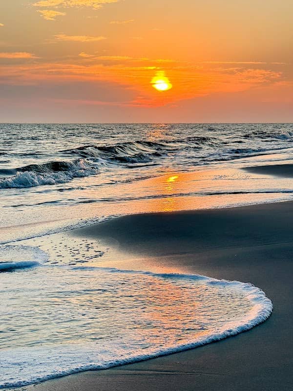 Dauphin Island Beach - Image 2