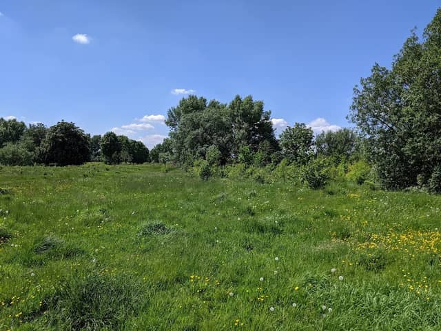 Audenshaw Ponderosa - Image 1