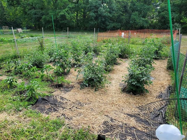 Pickerington Community Gardens - Image 1