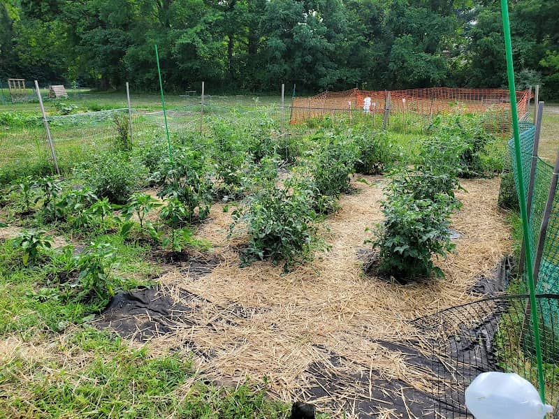 Pickerington Community Gardens - Image 1