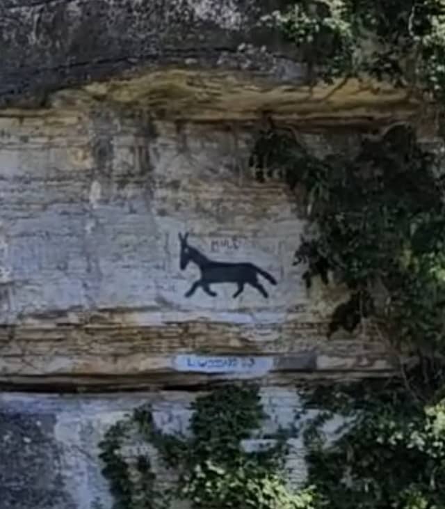 Modern cave art MULE - Image 1