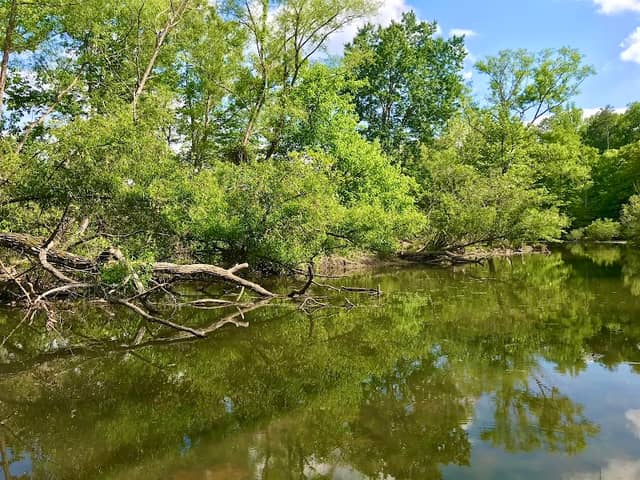 Lake York - Image 2