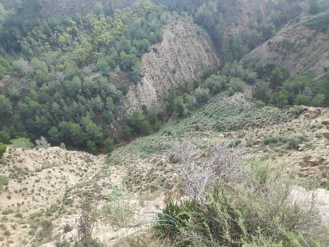 Mirador del Cañejar - Image 1