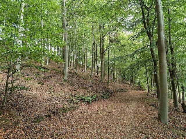 Kings Cliff - Image 2