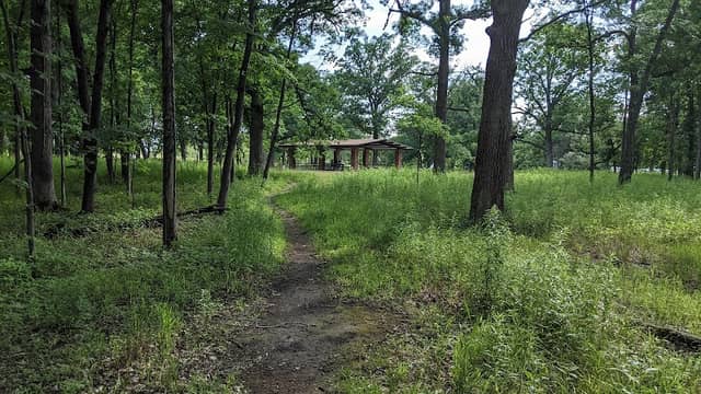 Turnbull Woods - Image 1