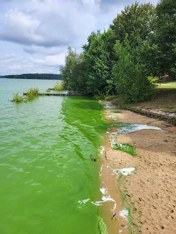 Bootssteg am Stausee Bautzen - Image 1