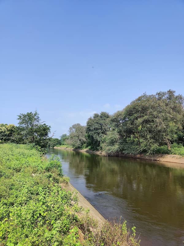 Mullai periyar river bathing - Image 1