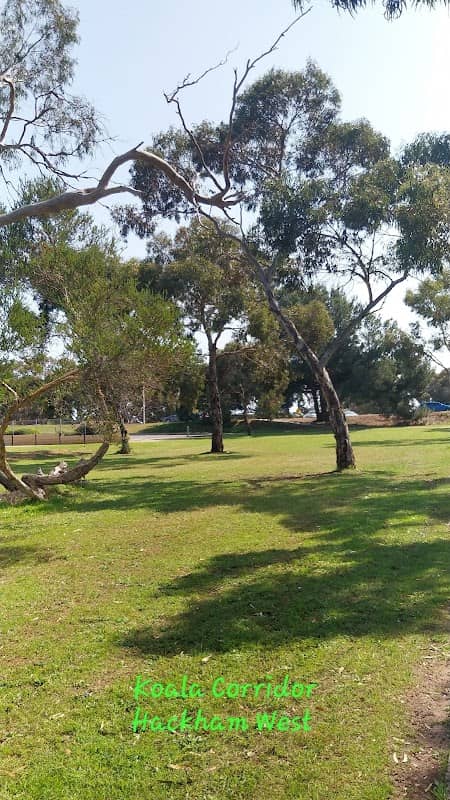Koala Corridor - Image 2