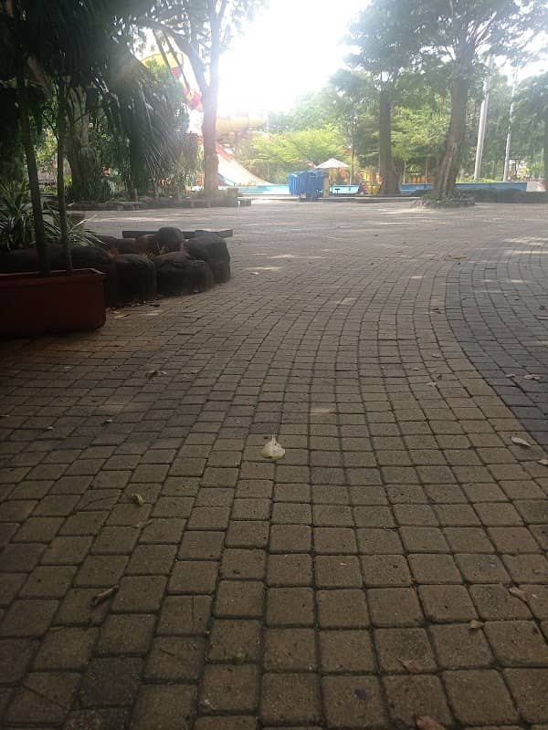 Pintu 2 Atlantis - Image 1