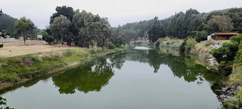 puente Iloca - Image 2