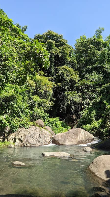 Lamiyo - Image 1