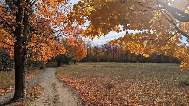 Harmony Valley Conservation Area - Image 2