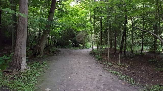 Harmony Valley Conservation Area - Image 3