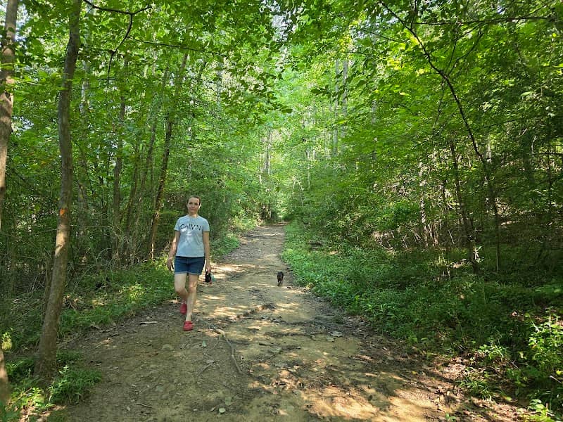 Ben Burton Park - Image 1