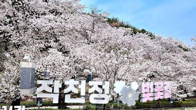 학성공원 - Image 1