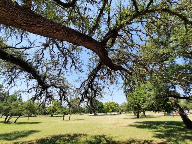 Liberty Hill International Sculpture Park - Image 2