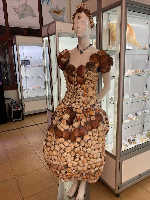 Museo del Mar de Arica - Image 2