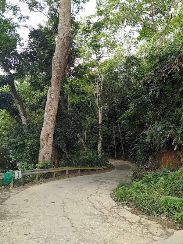 Buhisan View Deck - Image 1
