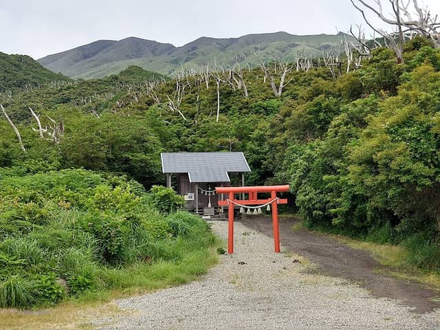 Shiitori Shrine - Image 1