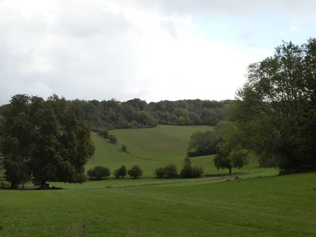Marden Park - Woodland Trust - Image 1