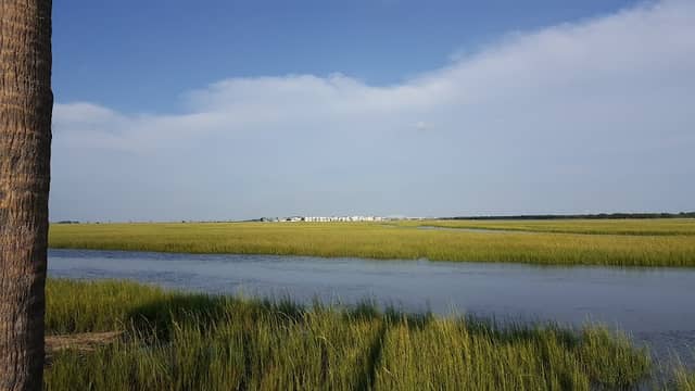 Pickett Park - Image 2