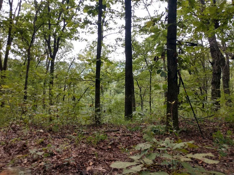 Cherry Bend Recreation Area - Image 2